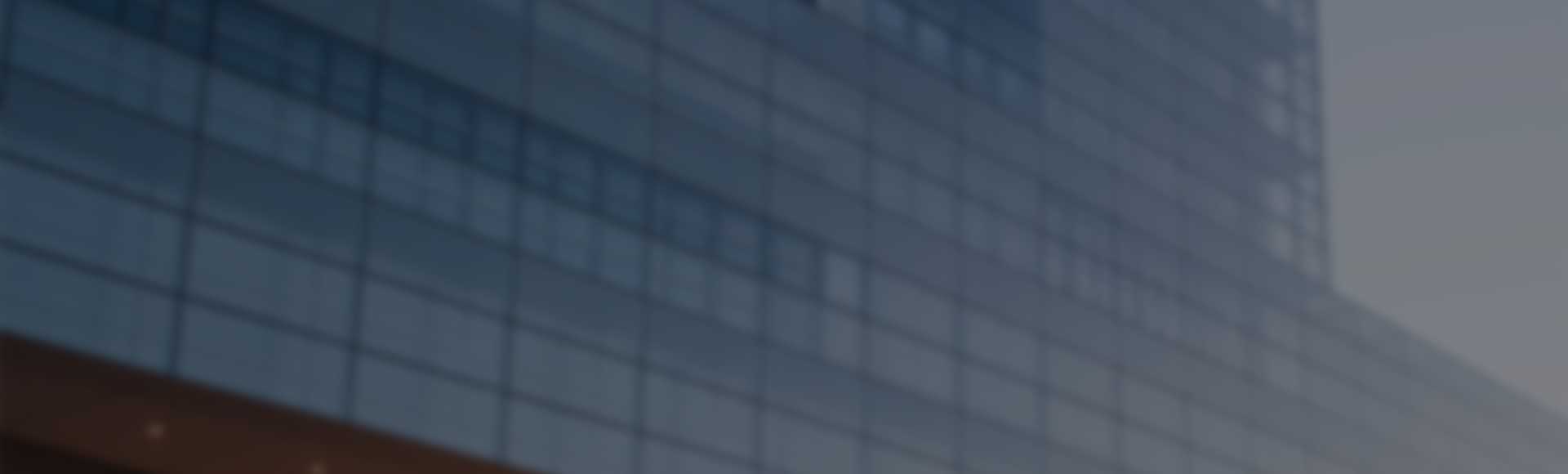 浙江伊人下载视频