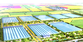 伊人下载视频企業新聞