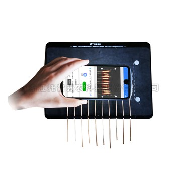 麥穗形態測量儀TPMS-X-1