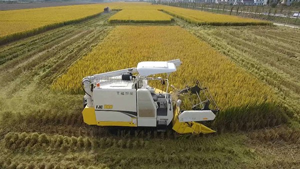 江蘇海門：打造數字化高標準農田，為鄉村振興蓄...