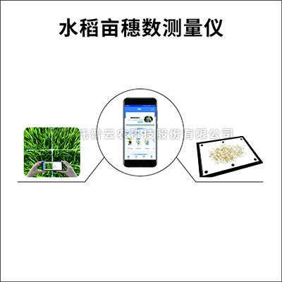 水稻畝穗數測量係統TPDS-1