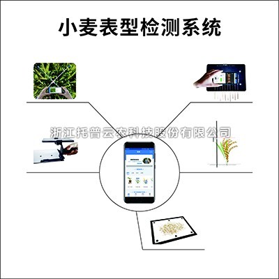 小麥表型檢測係統：專業的小麥表型檢測儀器