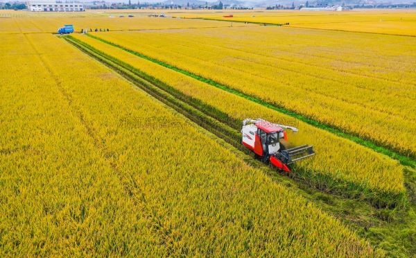 案例分享|托普在高標準農田建設上都做了什麽？