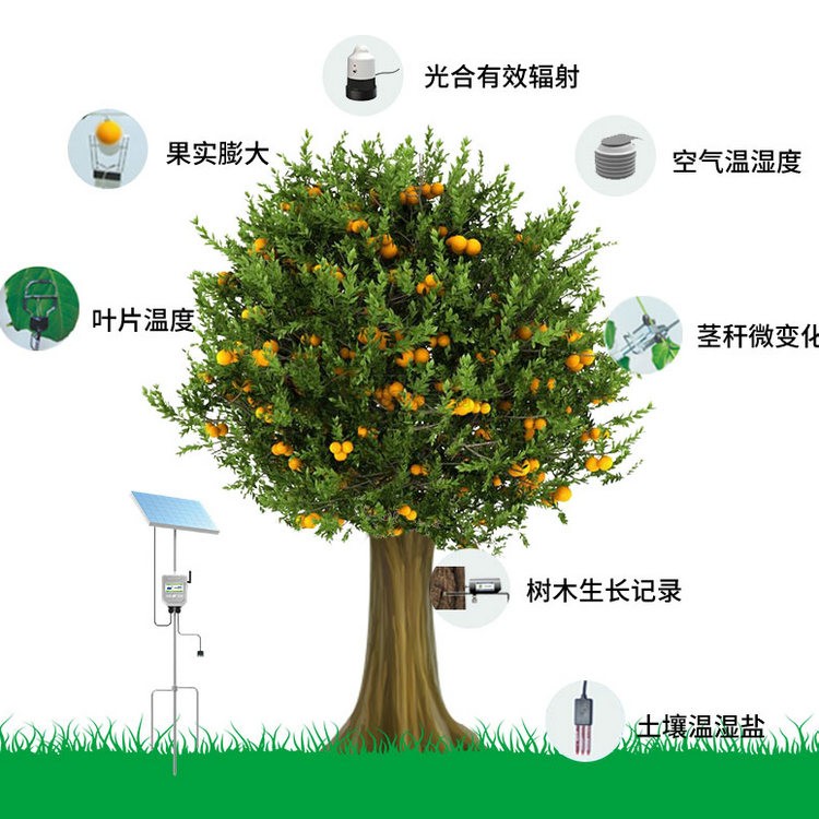 植物生理生態監測係統TP-ZWSL係列