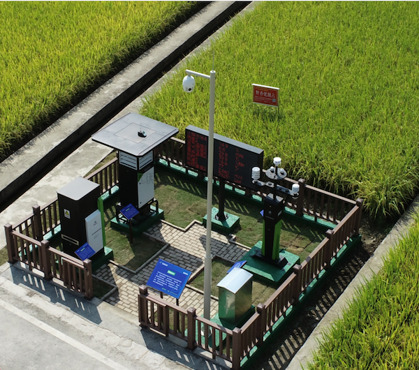 建設高標準農田，促進農業綠色高效發展