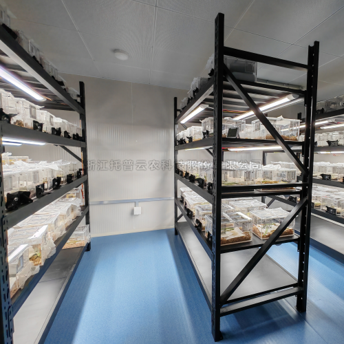 昆蟲培養室（養蟲室）