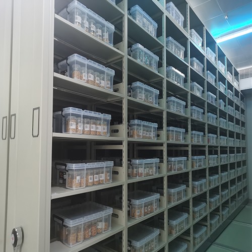 種質資源複份長期庫