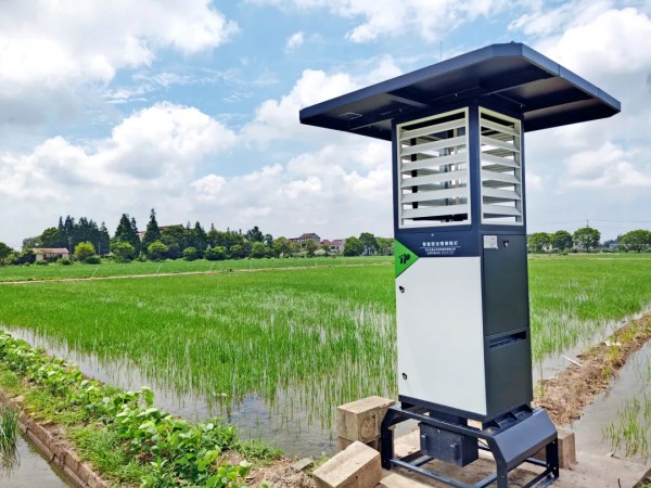 厲害了！連續兩年伊人下载视频第一！