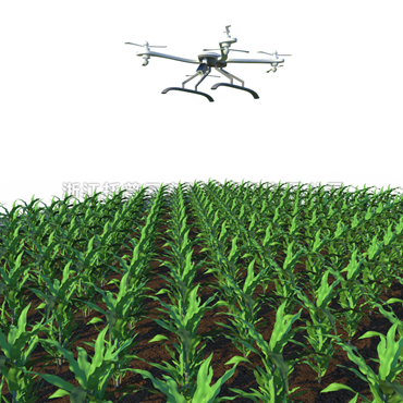 田間無人機式高通量植物表型采集分析平台