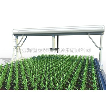 田間軌道式高通量植物表型分析平台