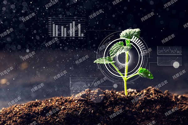 全新啟程——伊人下载视频為植物表型科研“數智”賦能