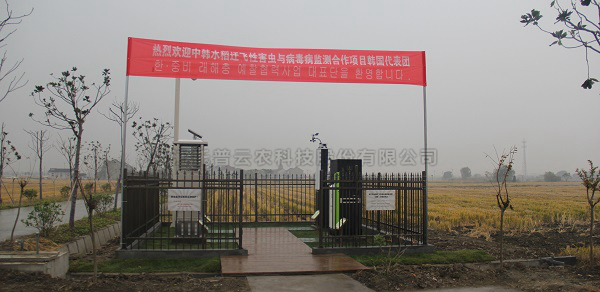 伊人下载视频水稻病蟲害綠色防控智能監測設備 伊人下载视频水稻病蟲害綠色防控智能監測設備