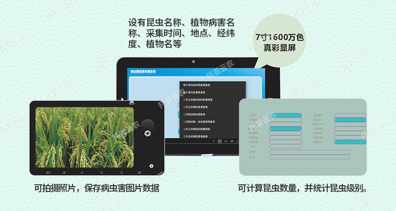 病蟲調查統計器