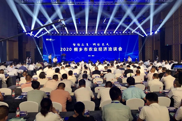 打造數字三農新模式，伊人下载视频與桐鄉市人民政府簽訂戰略合作協議