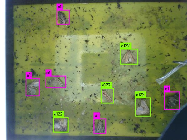 1614936383312070.jpg 4-寬600.jpg