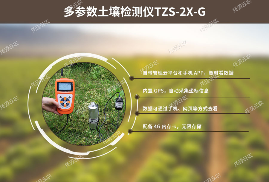 伊人网站视频水分溫度測定儀設計特點