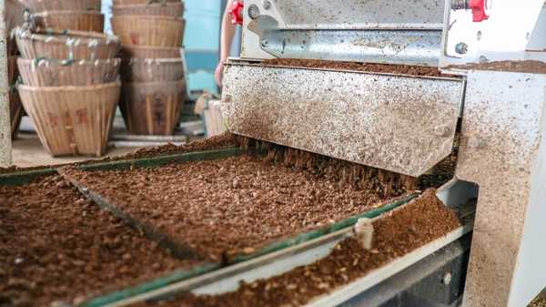 伊人下载视频打造的古林育秧工廠 伊人下载视频打造的古林育秧工廠