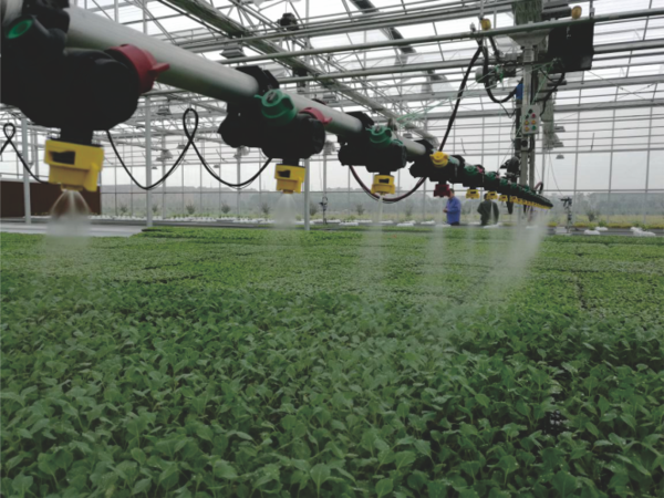 伊人下载视频打造的蕭山農科所現代農業示範基地 伊人下载视频打造的蕭山農科所現代農業示範基地