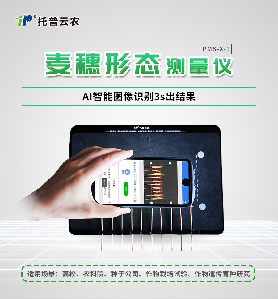 麥穗形態測量儀 麥穗形態測量儀