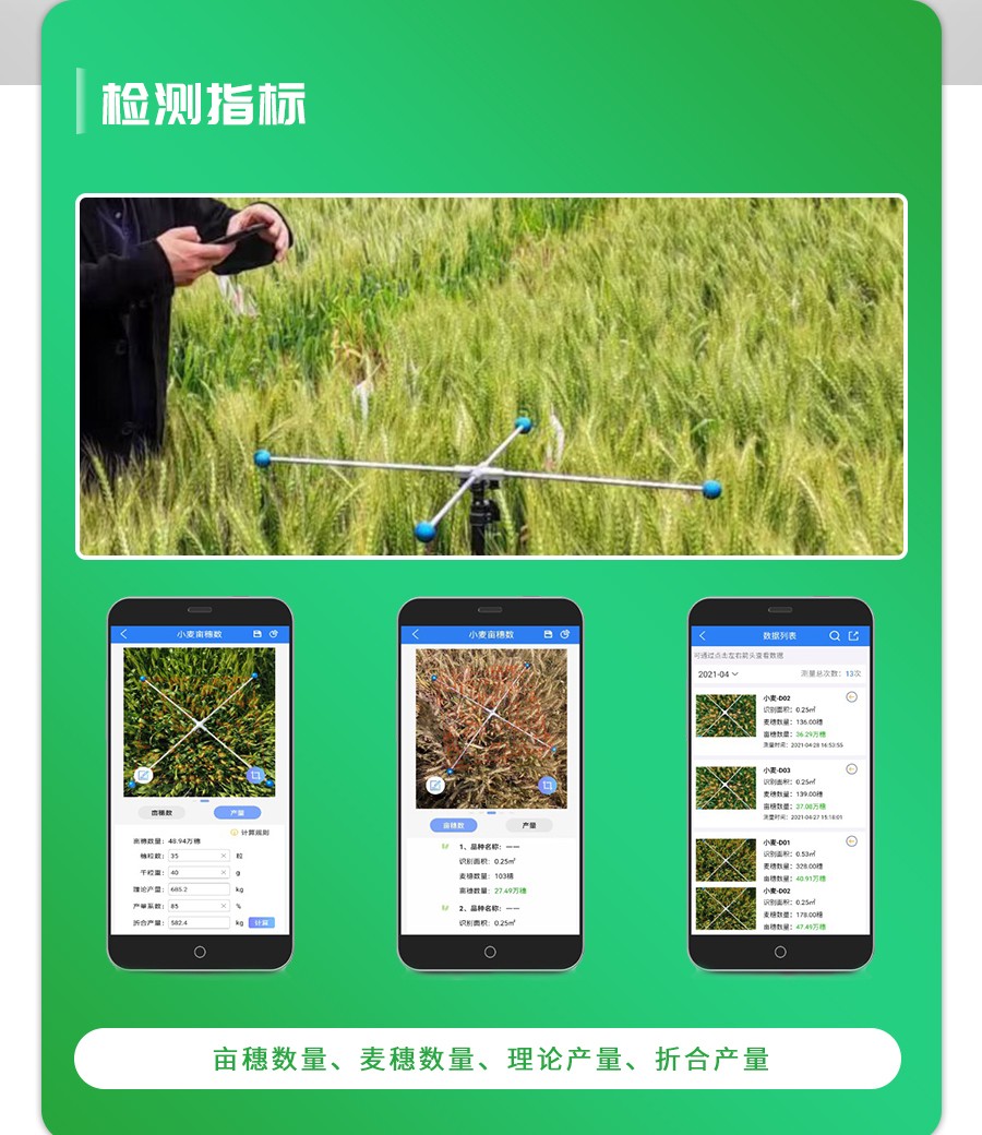 小麥畝穗數測量儀 小麥畝穗數測量儀