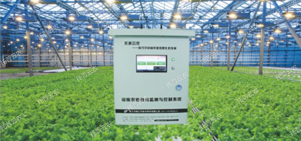 1685944715812907.jpg 10.jpg