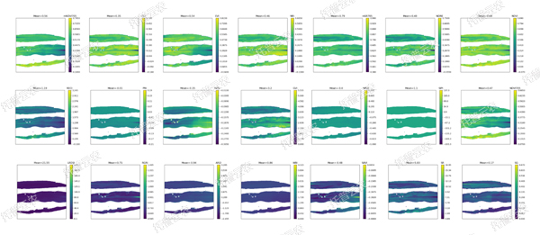 1722996312416651.jpg 溫室型高通量植物表型采集分析平台-高光譜-玉米葉.jpg