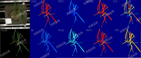 1723009909678710.jpg 逆境模擬及植物生長監測平台-高光譜成像與指數分析結果.jpg