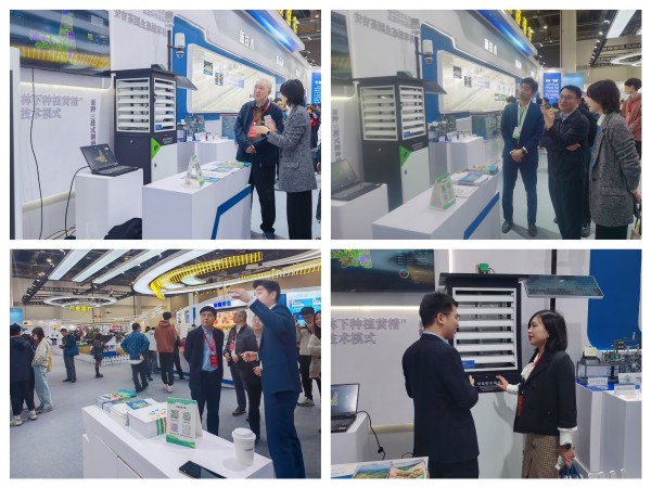 1732614605753186.jpg 拚圖.jpg